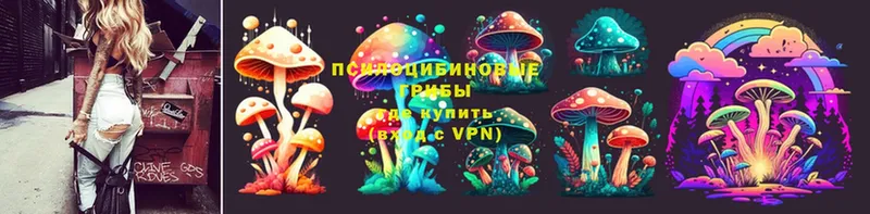 где купить наркоту  MEGA зеркало  Галлюциногенные грибы Cubensis  дарк нет официальный сайт  Велиж 